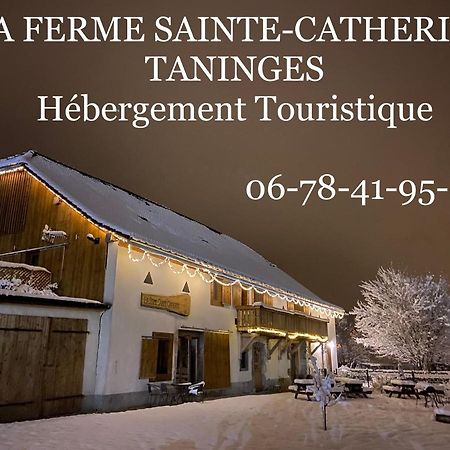 La Ferme Sainte Catherine Villa Тананж Екстериор снимка